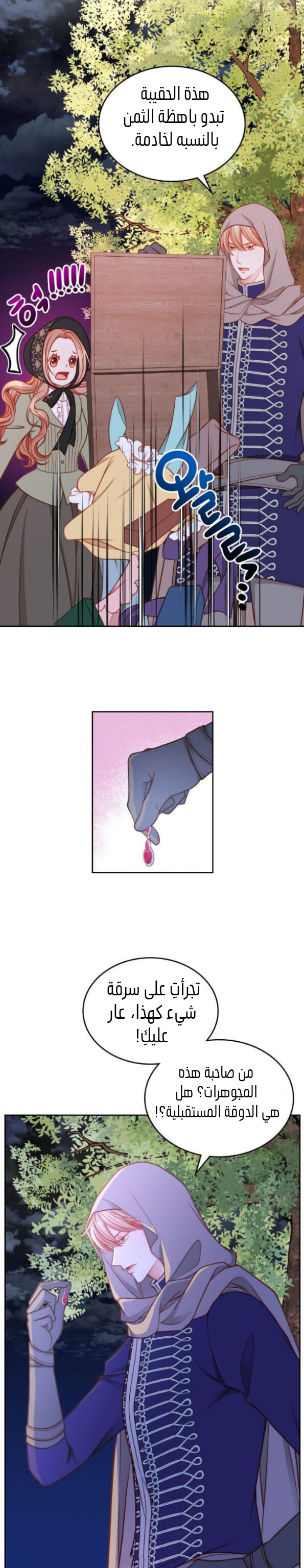 الصفحة 13