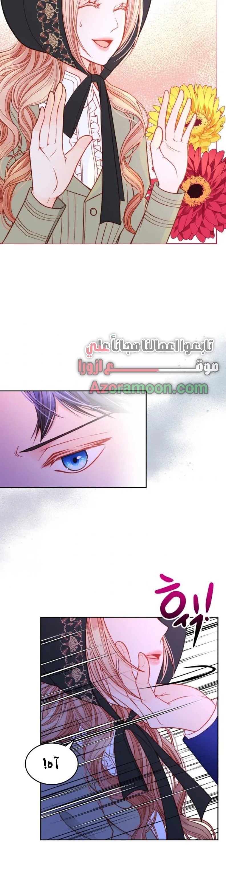 الصفحة 25