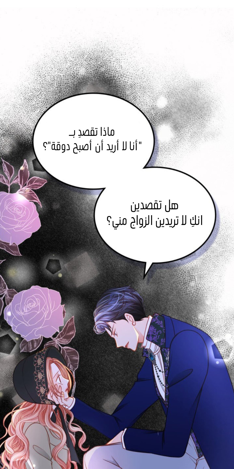 الصفحة 26