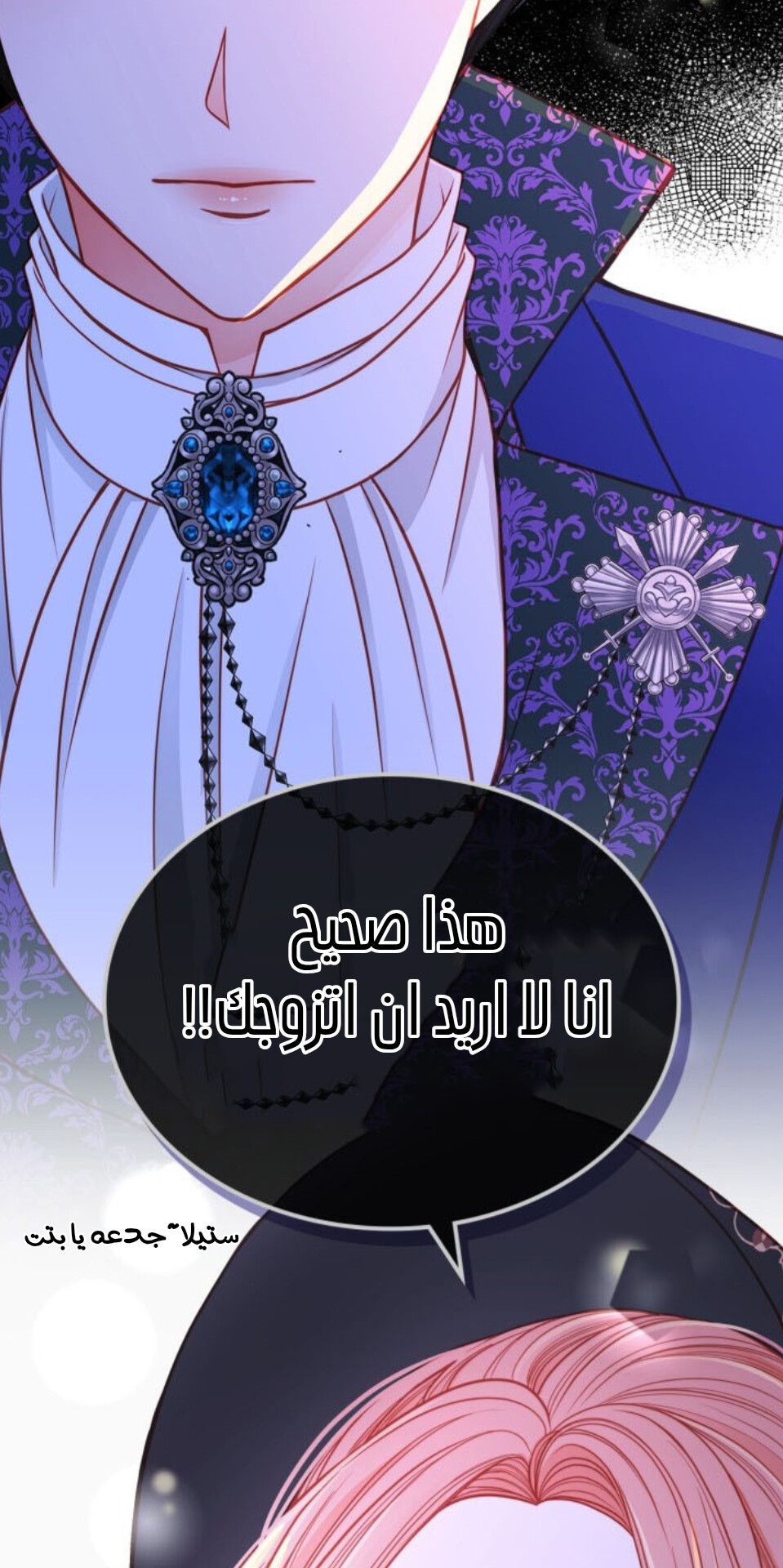 الصفحة 28