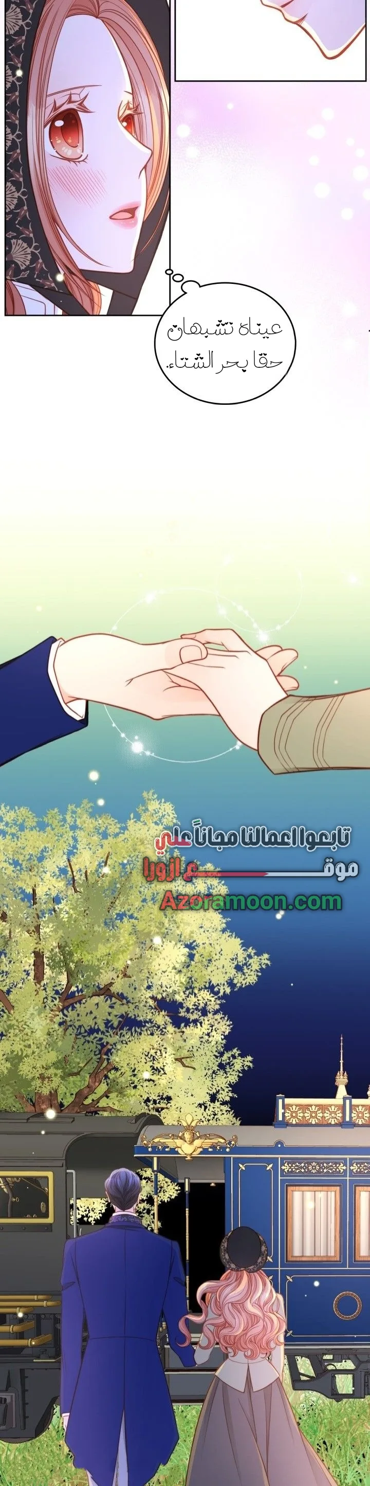 الصفحة 12