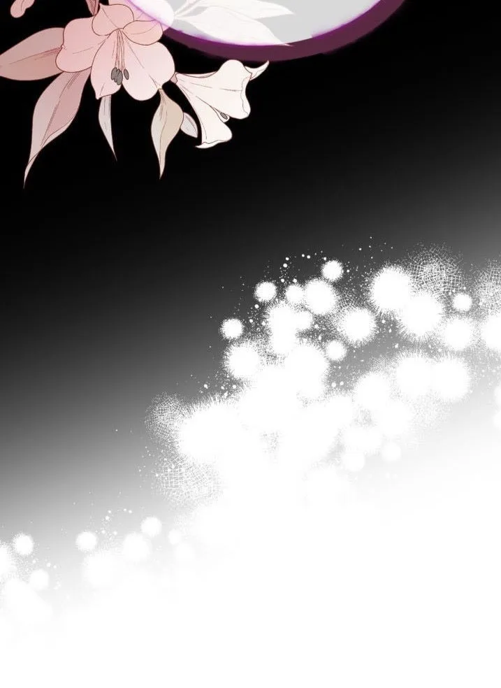 الصفحة 29