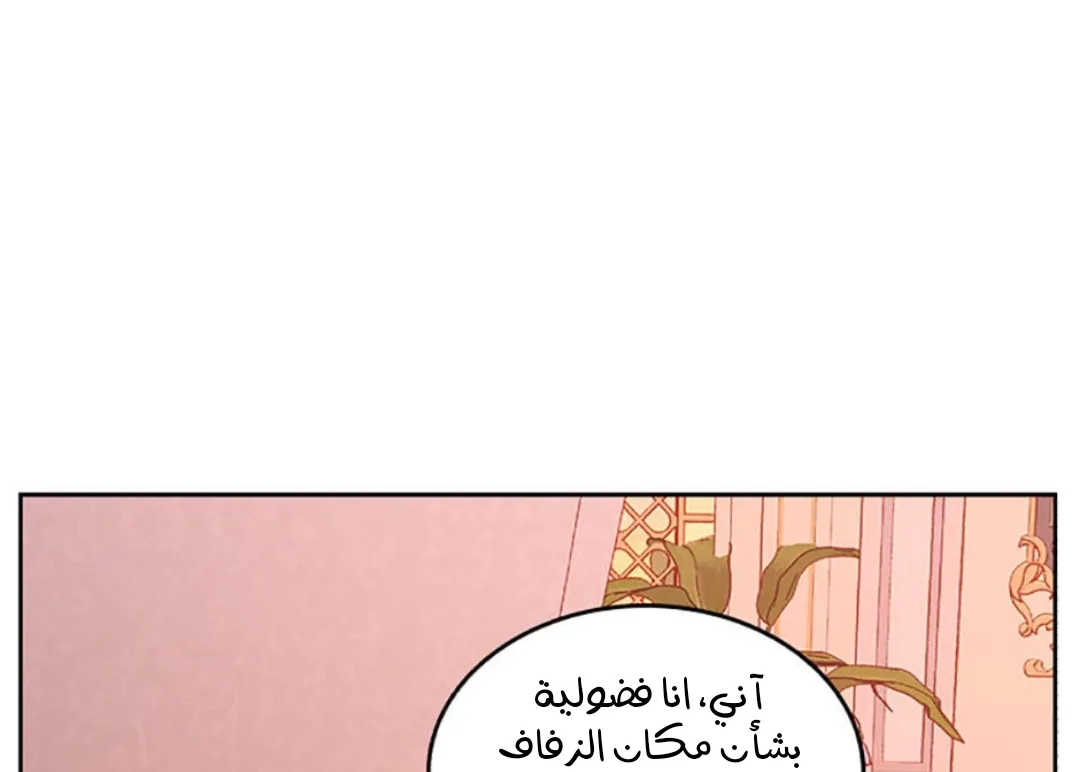 الصفحة 38