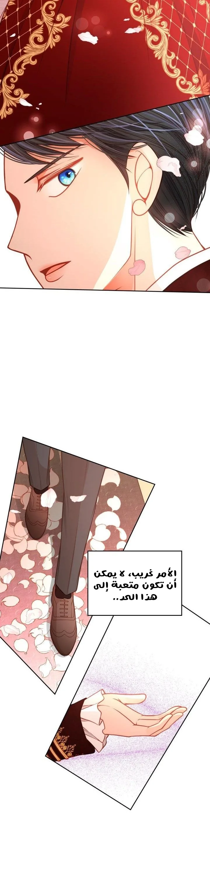 الصفحة 3