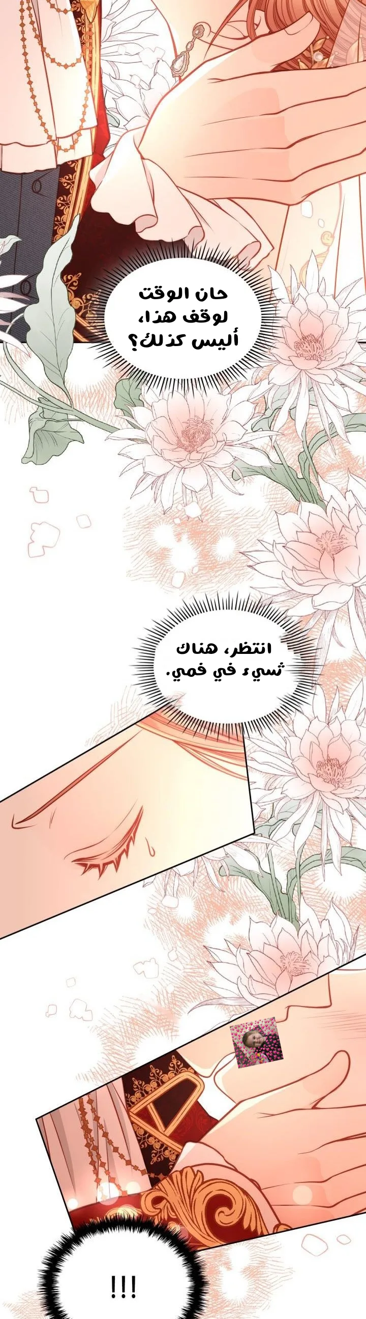 الصفحة 21