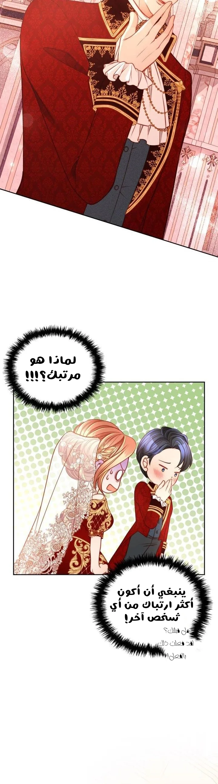 الصفحة 25