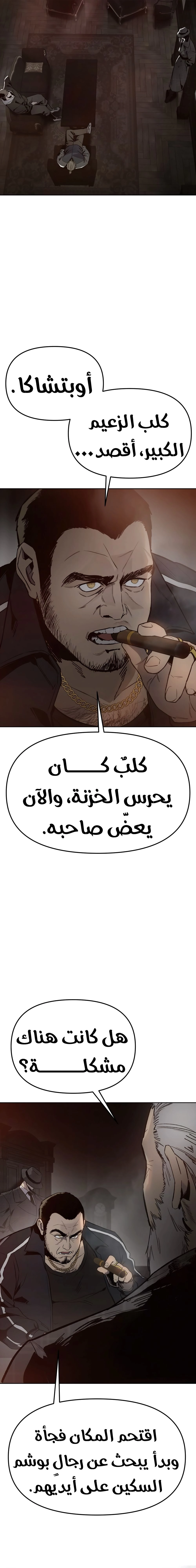 الصفحة 14
