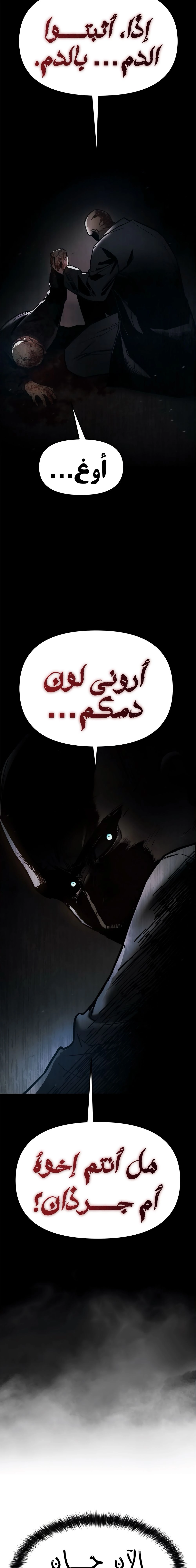 الصفحة 17