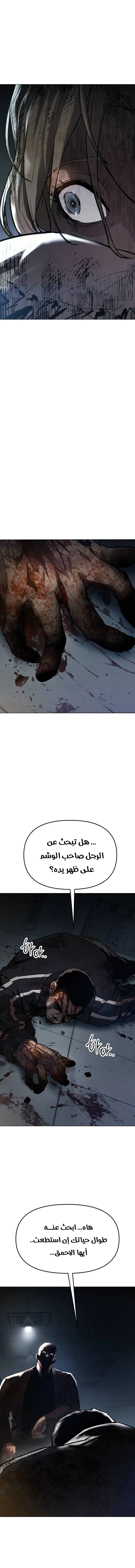 الصفحة 17