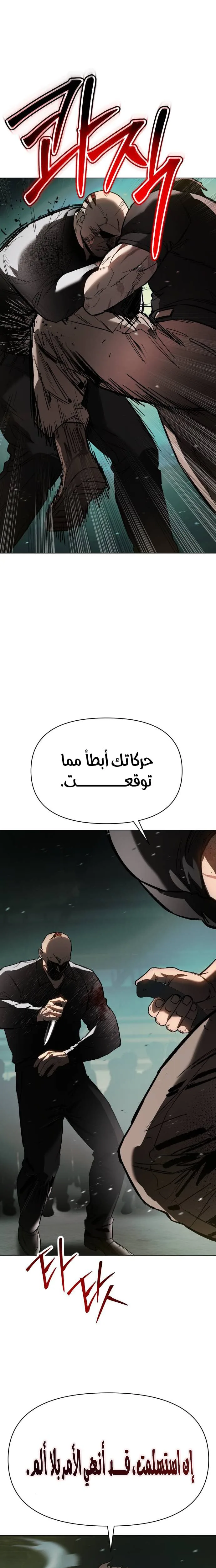 الصفحة 20