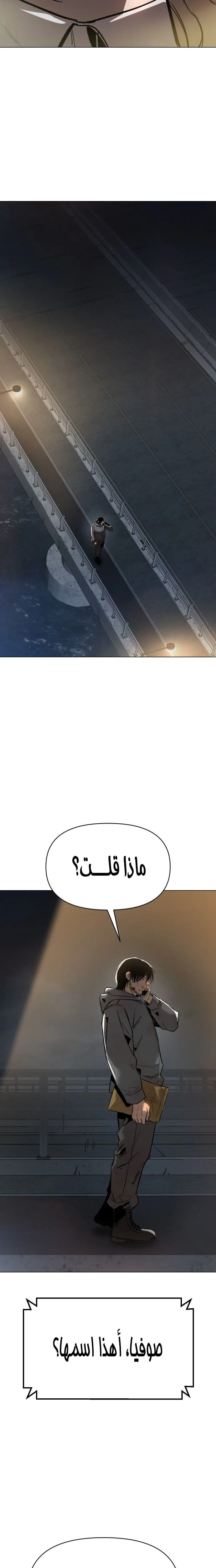 الصفحة 13