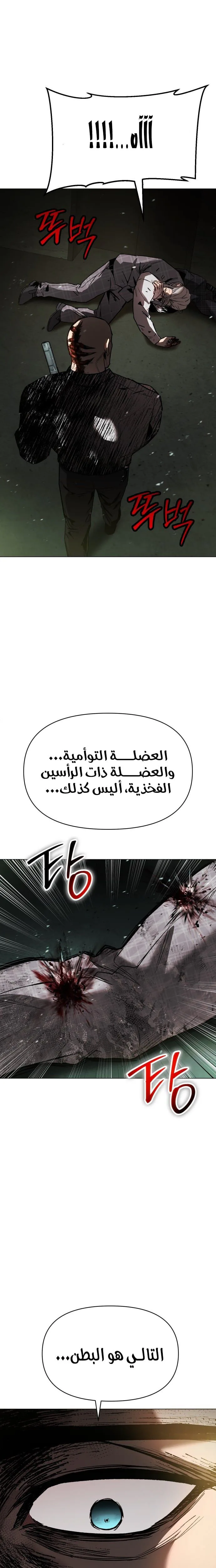 الصفحة 24