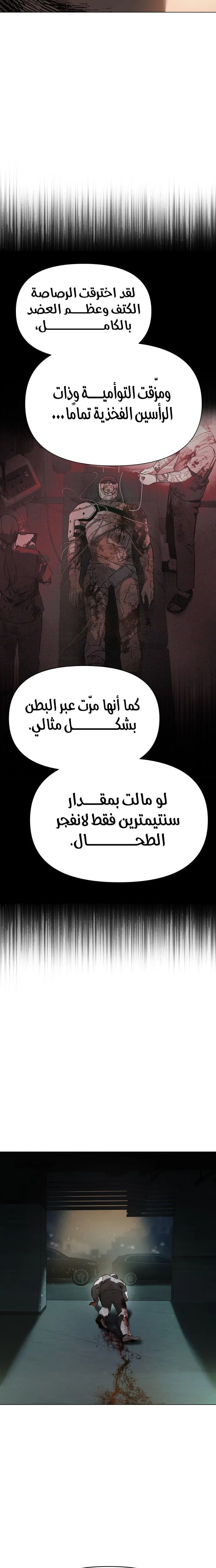 الصفحة 25