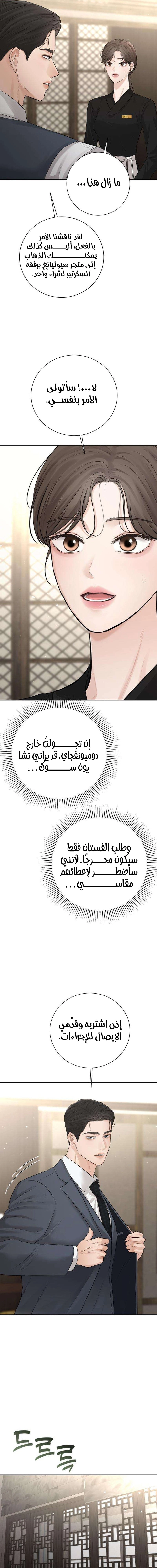 الصفحة 13