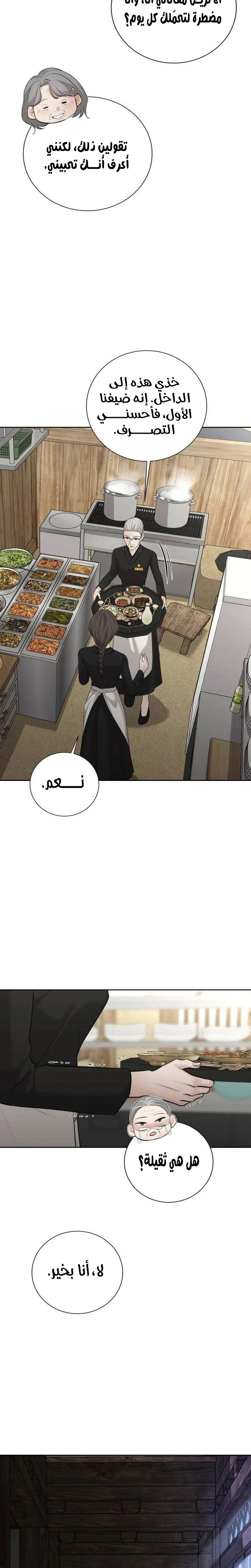 الصفحة 17