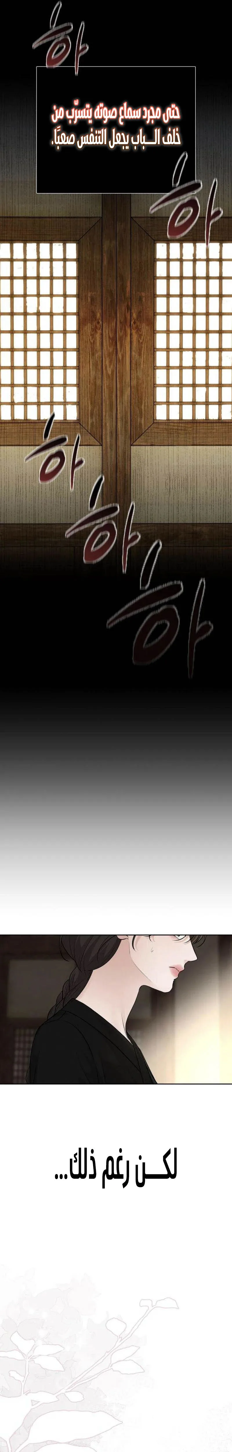 الصفحة 19