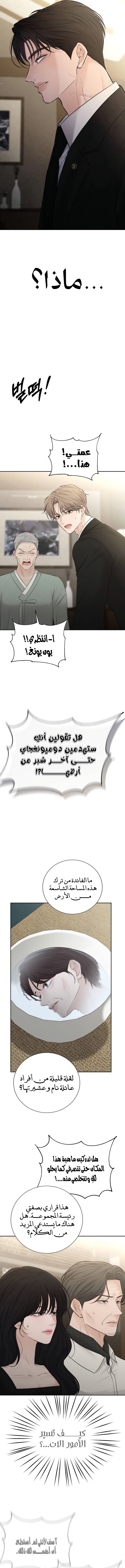 الصفحة 17