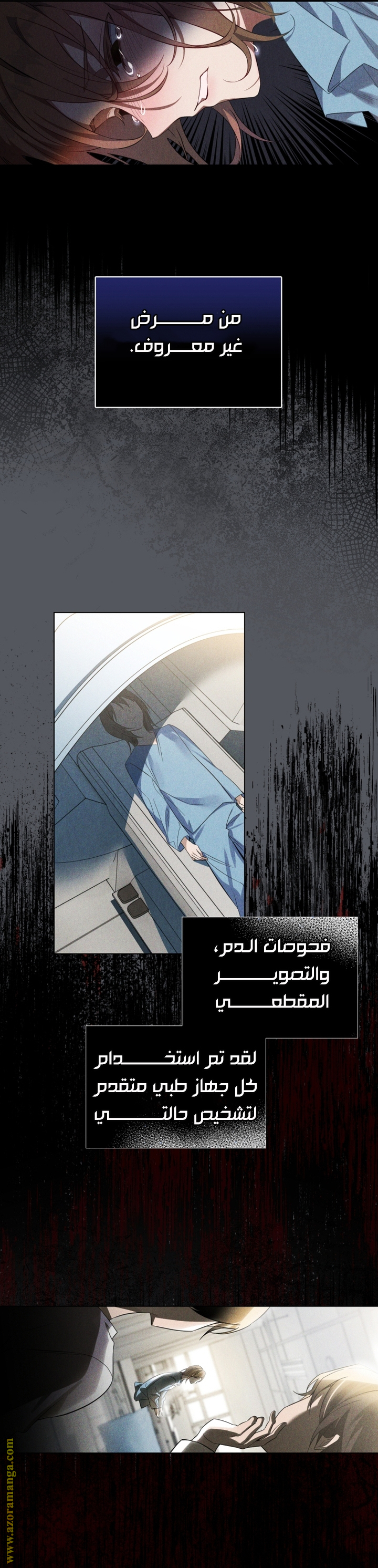 الصفحة 16