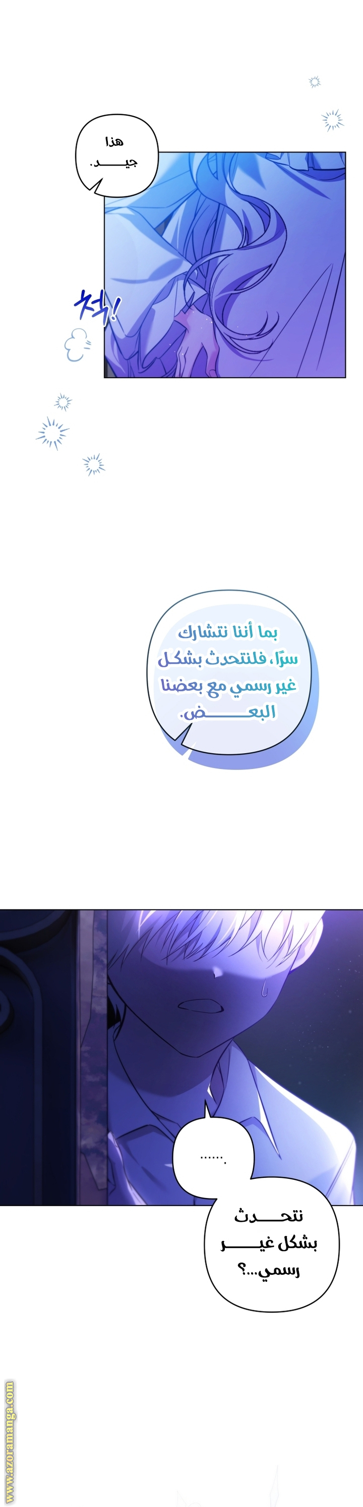 الصفحة 17