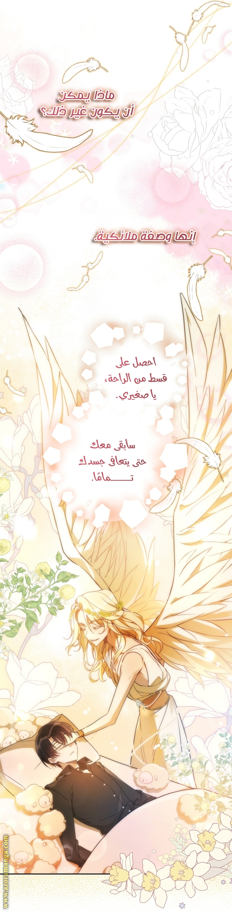 الصفحة 7