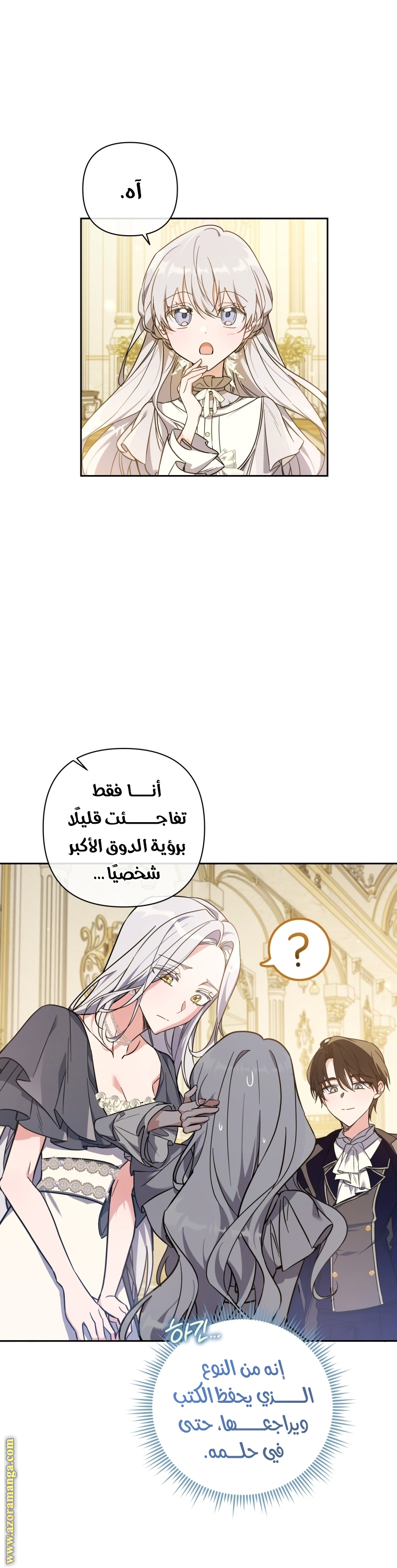 الصفحة 29