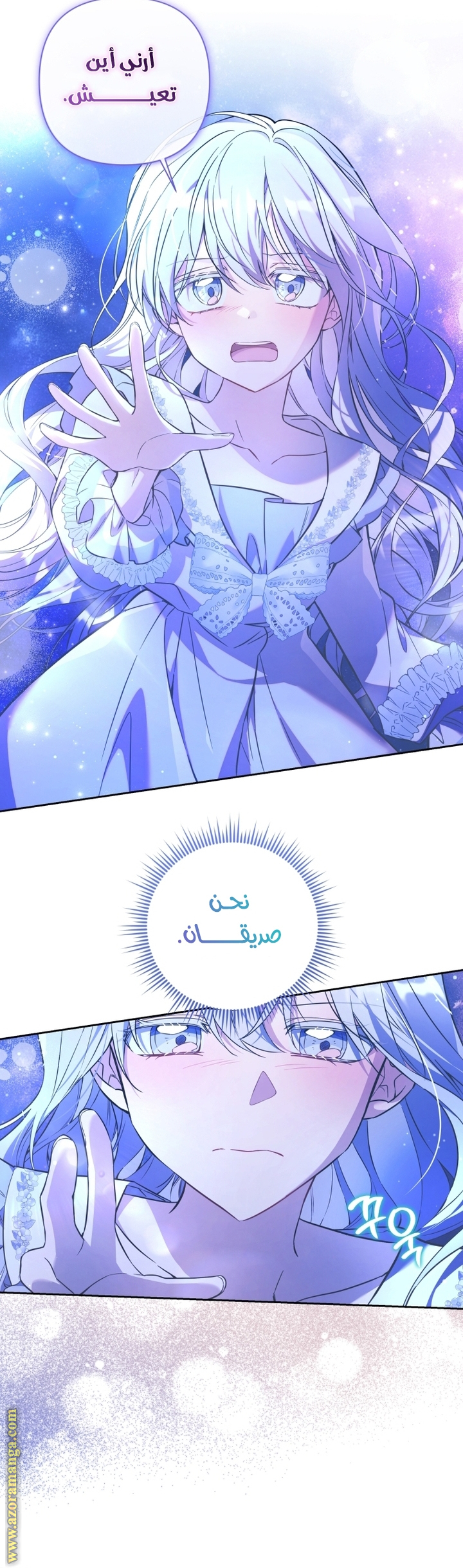 الصفحة 29