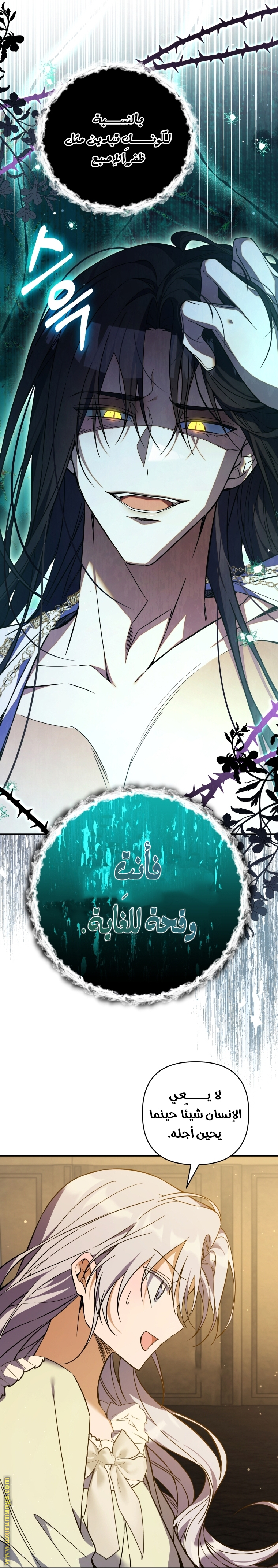 الصفحة 26