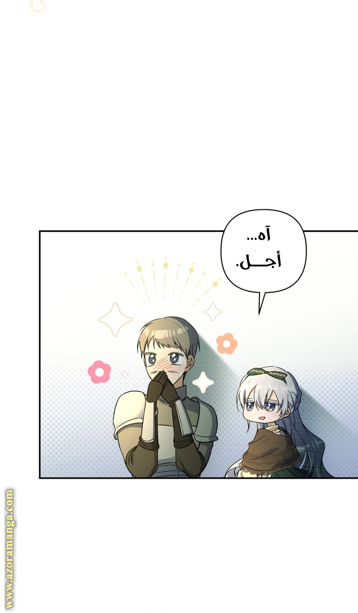 الصفحة 29