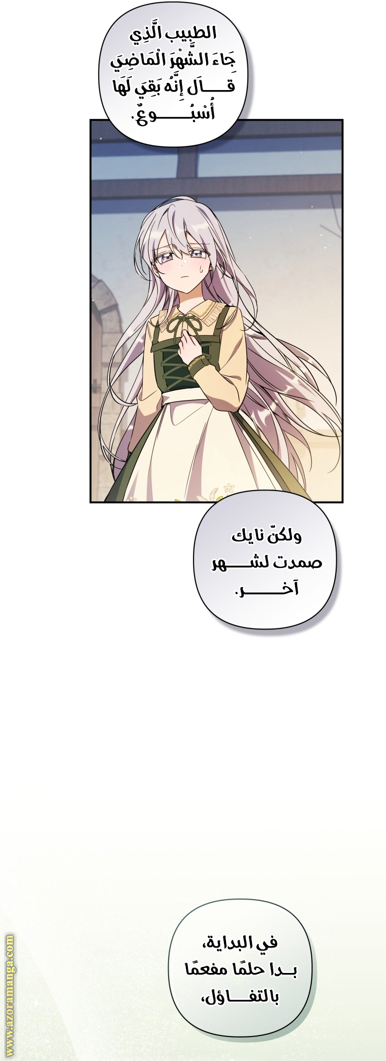 الصفحة 17
