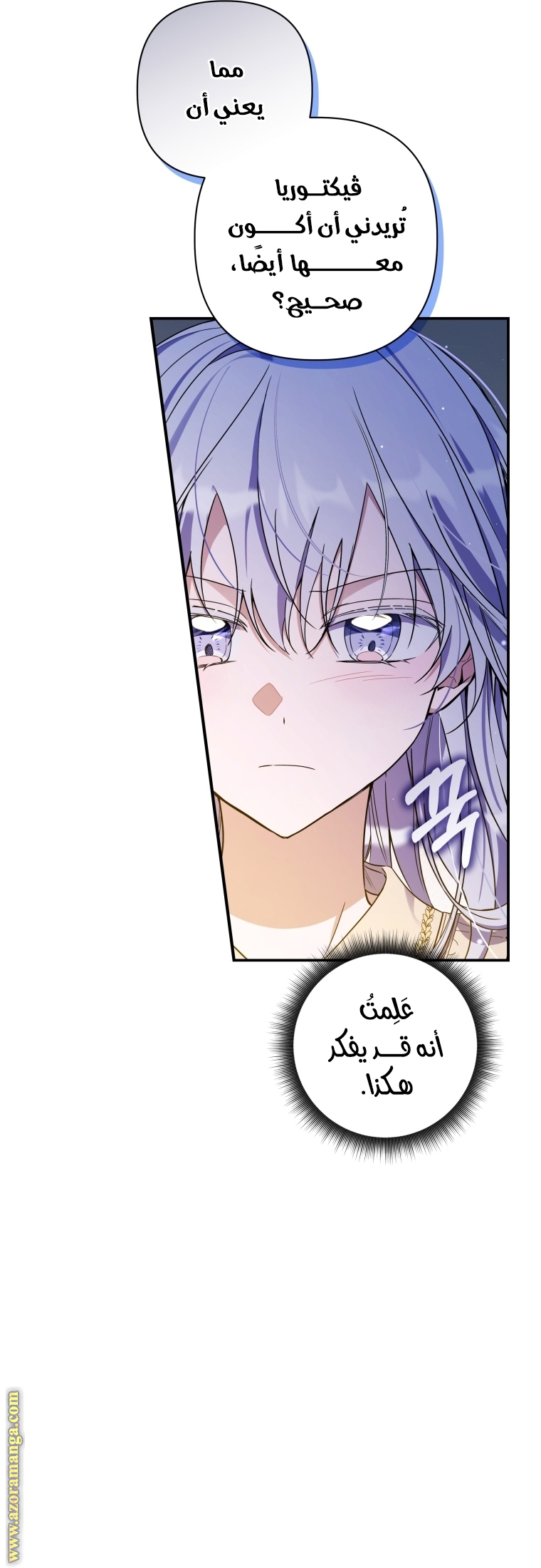 الصفحة 40