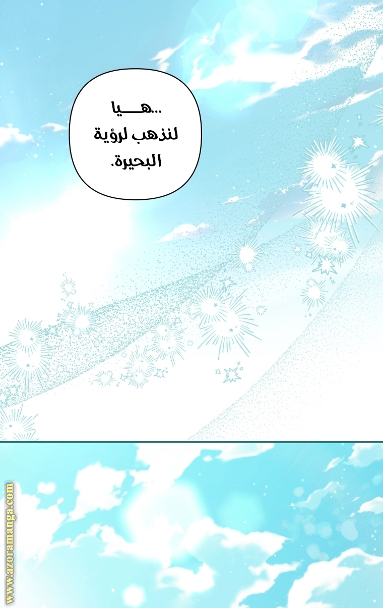 الصفحة 41