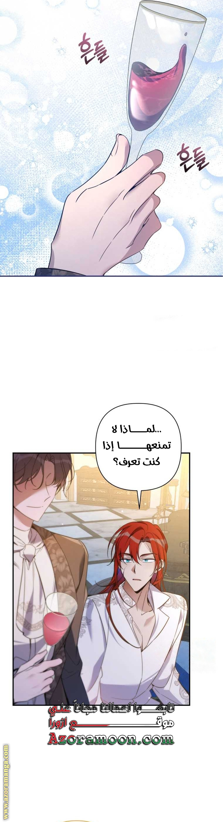 الصفحة 13