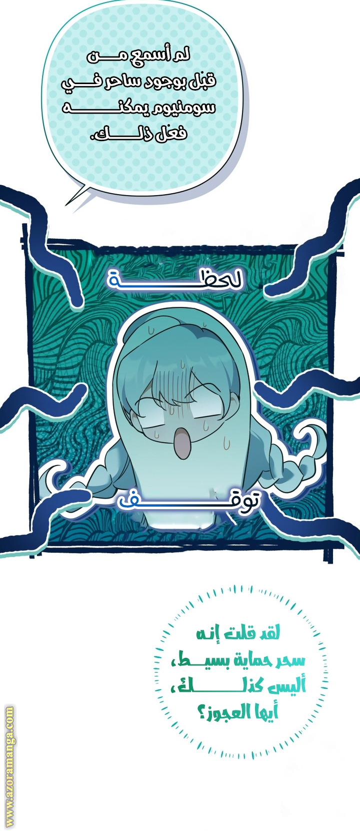 الصفحة 25
