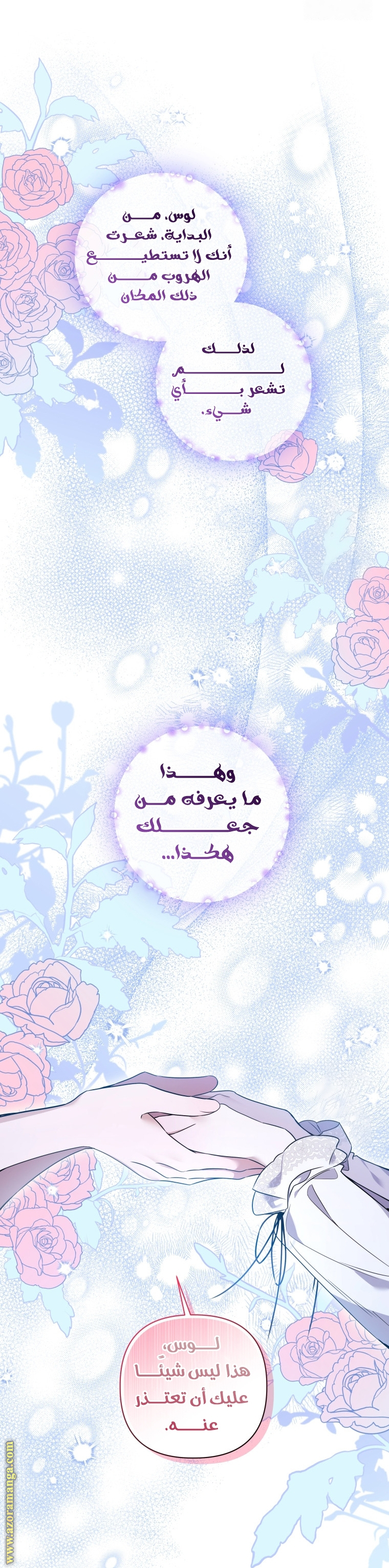 الصفحة 13