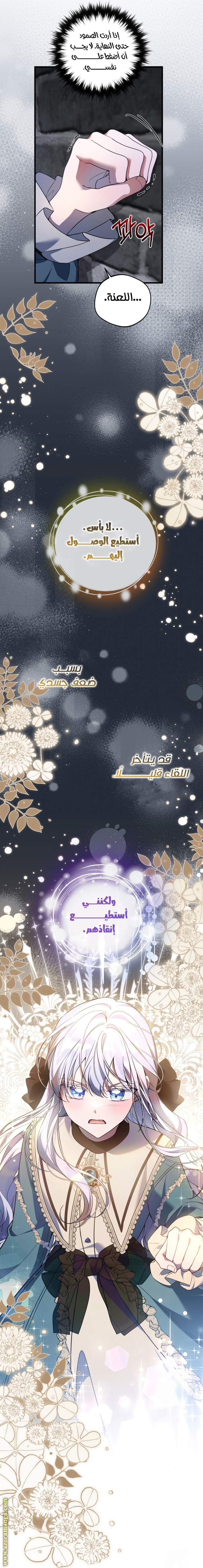 الصفحة 52