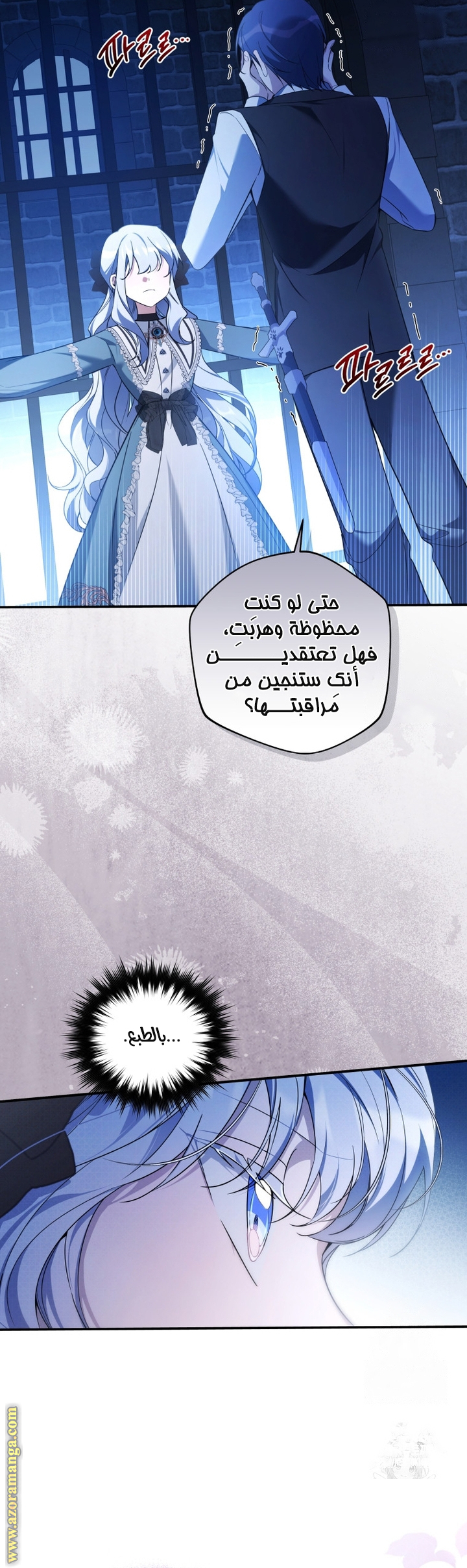 الصفحة 13