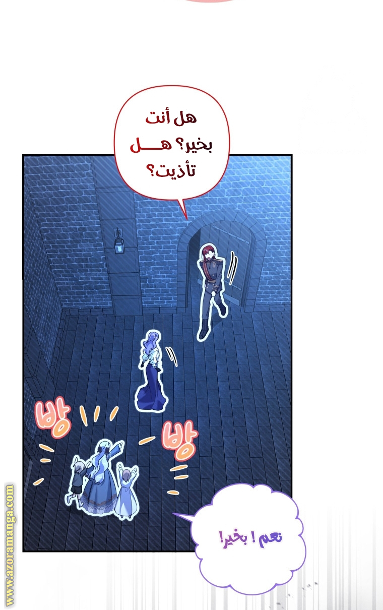 الصفحة 25