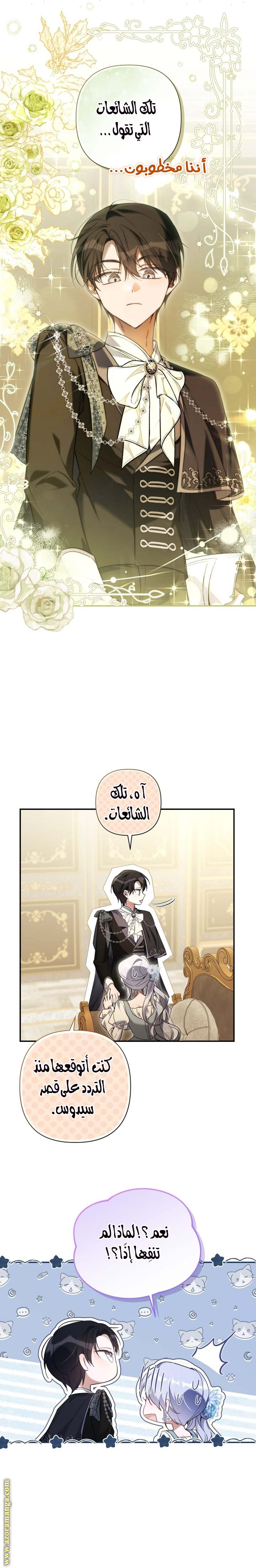 الصفحة 19