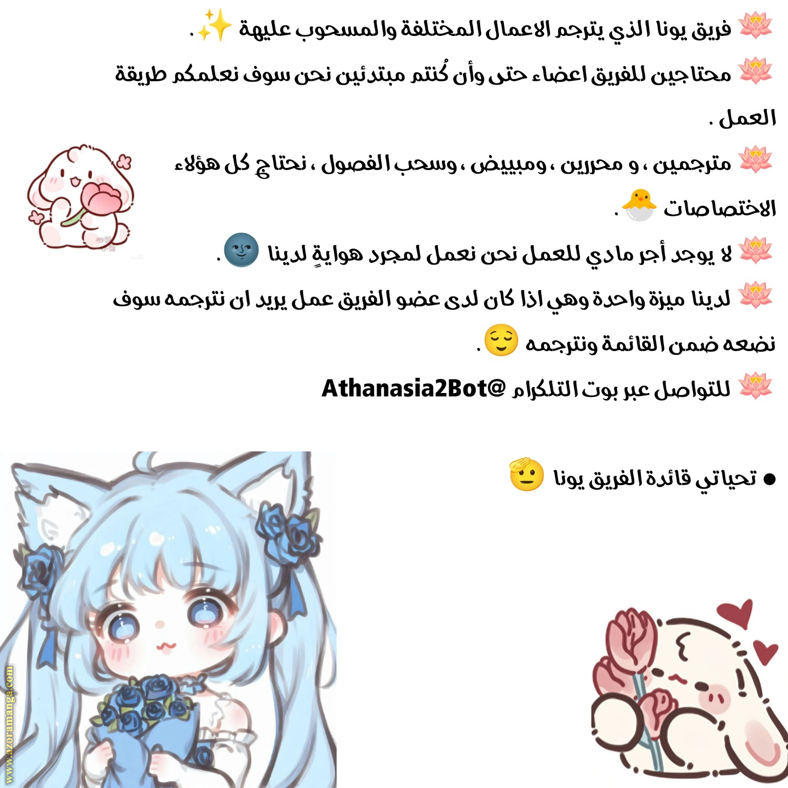 الصفحة 13