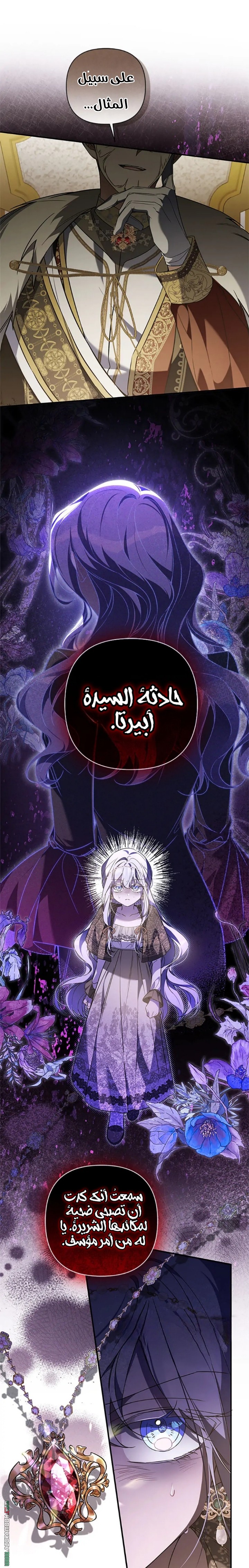 الصفحة 17