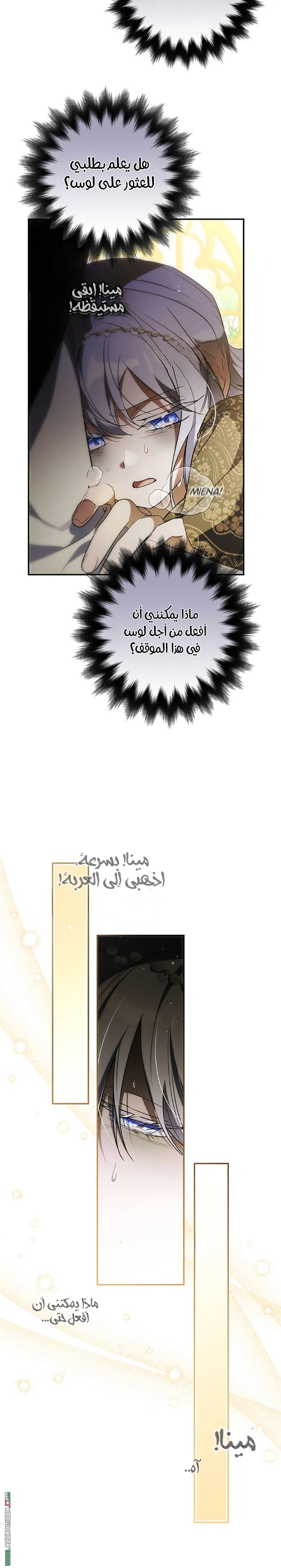 الصفحة 24