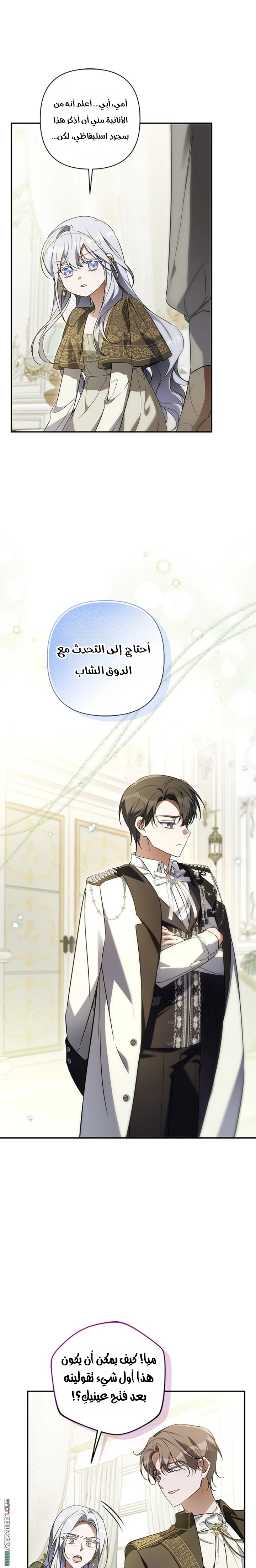 الصفحة 27