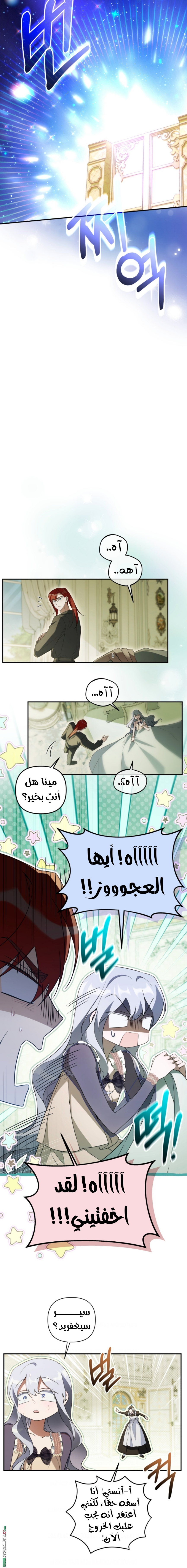 الصفحة 13