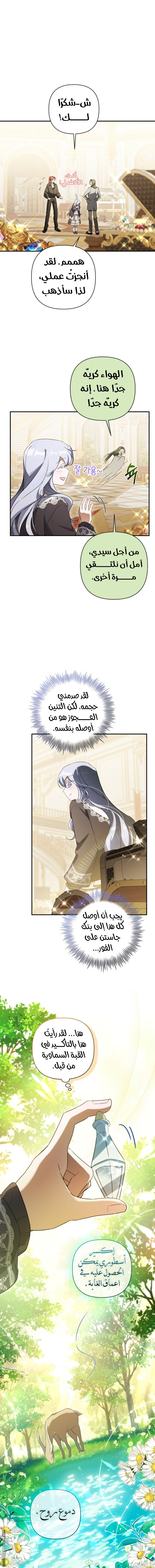 الصفحة 17