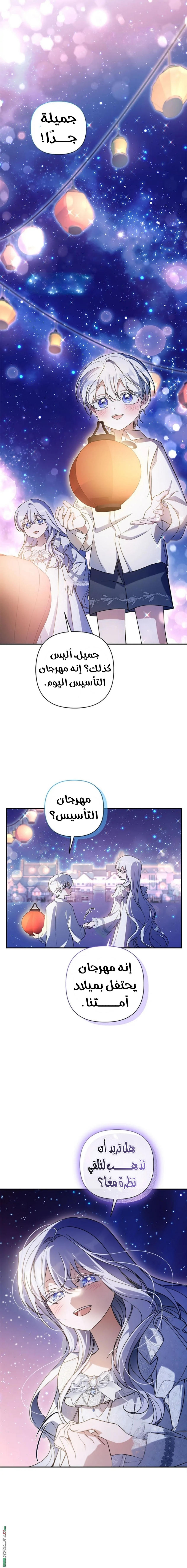الصفحة 17