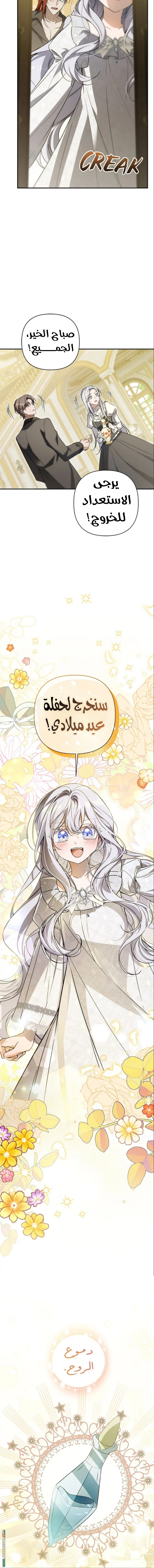 الصفحة 11