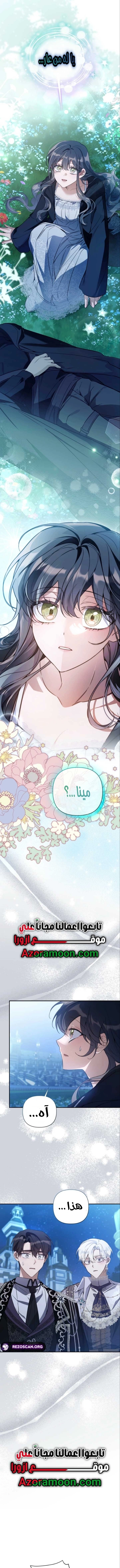 الصفحة 13