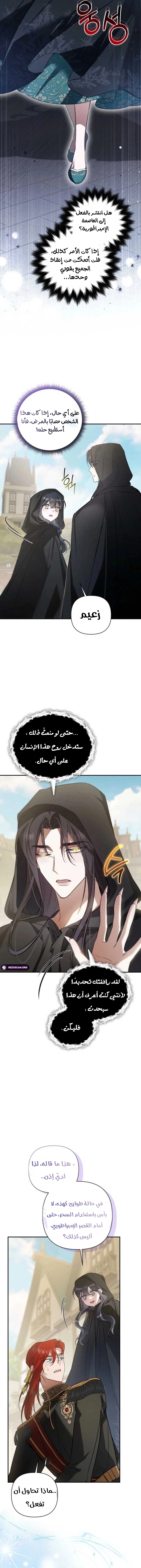 الصفحة 7