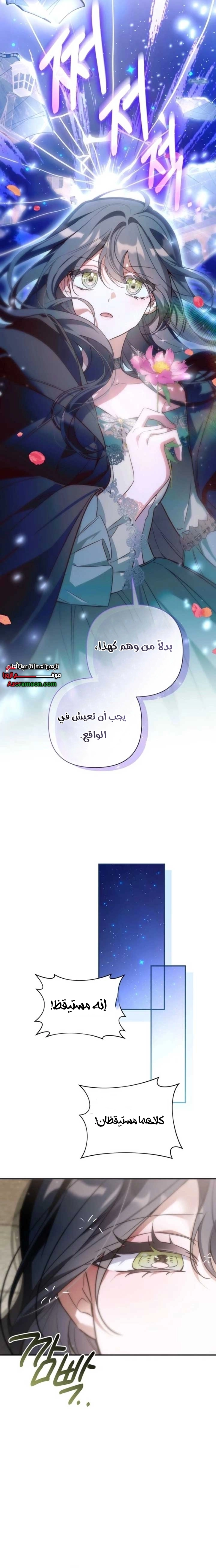 الصفحة 12