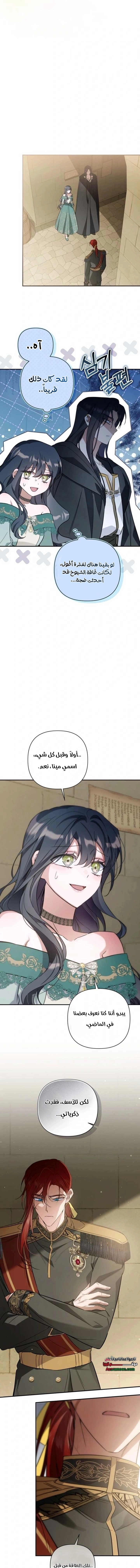 الصفحة 15